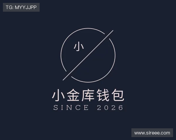 解读小金库钱包官网